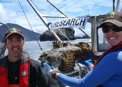 Fish caught during longline survey