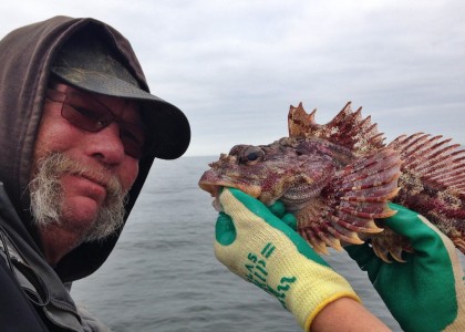 Red Irish lord fish caught during hook-and-line survey