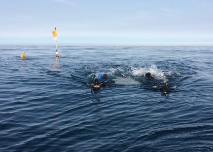 snorkeling