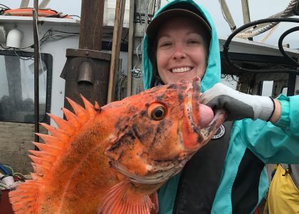 yelloweye rockfish