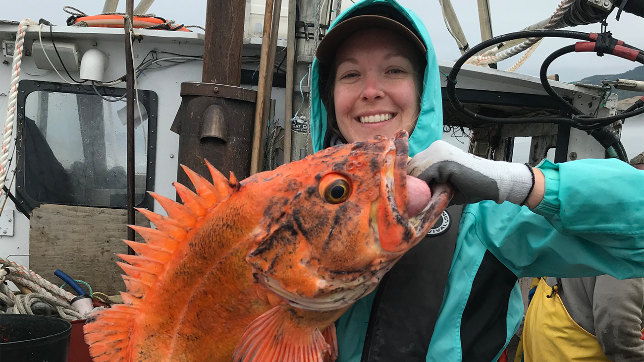 yelloweye rockfish