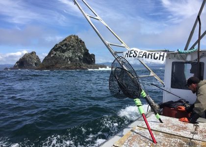 Research at Orford Reef aboard the F/V Top Gun in 2017
