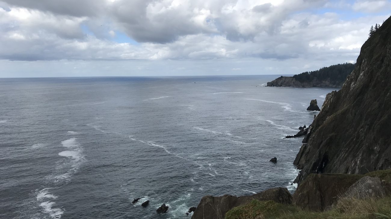 Cape Falcon Marine Reserve